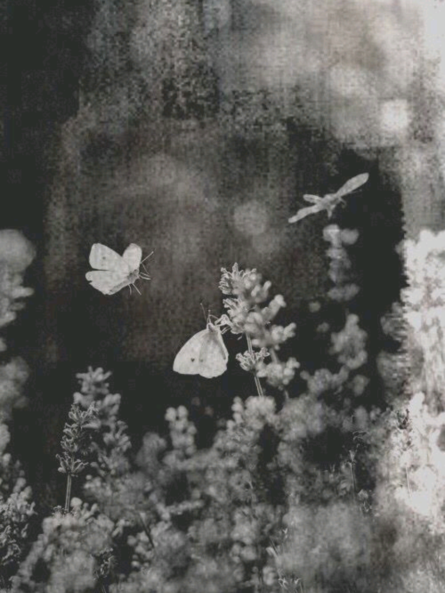 @𝄞𓊆 ᶢ𝖑ₒᵂⁱₙᶢ.ᐟ ྀི 🪽𓊇﴾⦵﴿ 𓉸