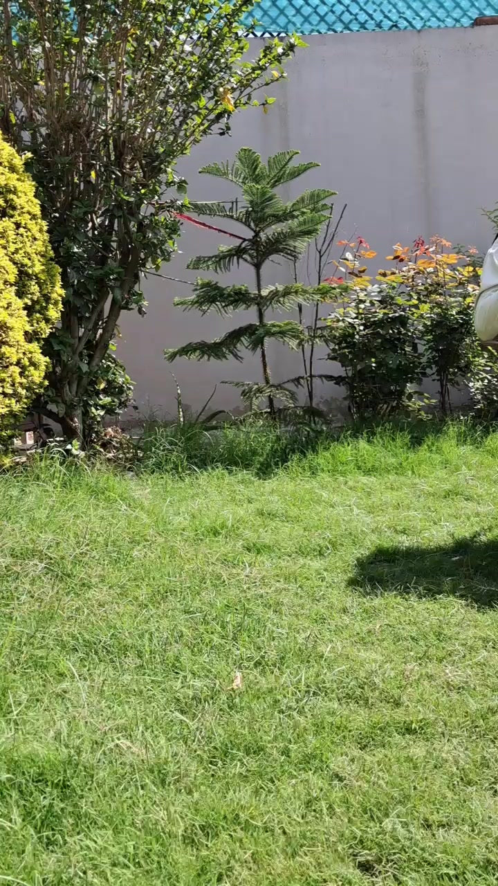 @Salman Khan