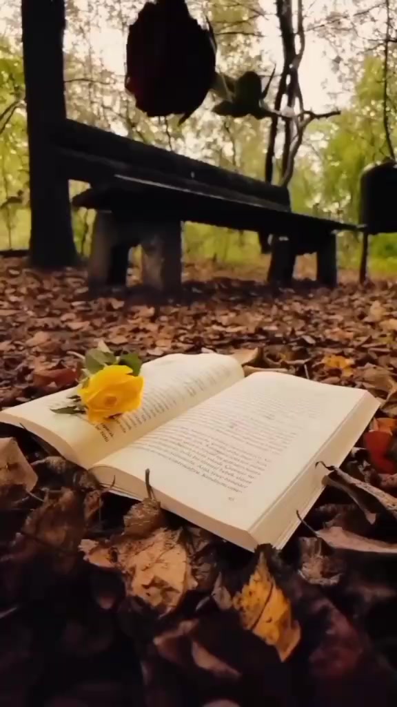 @laibarani
