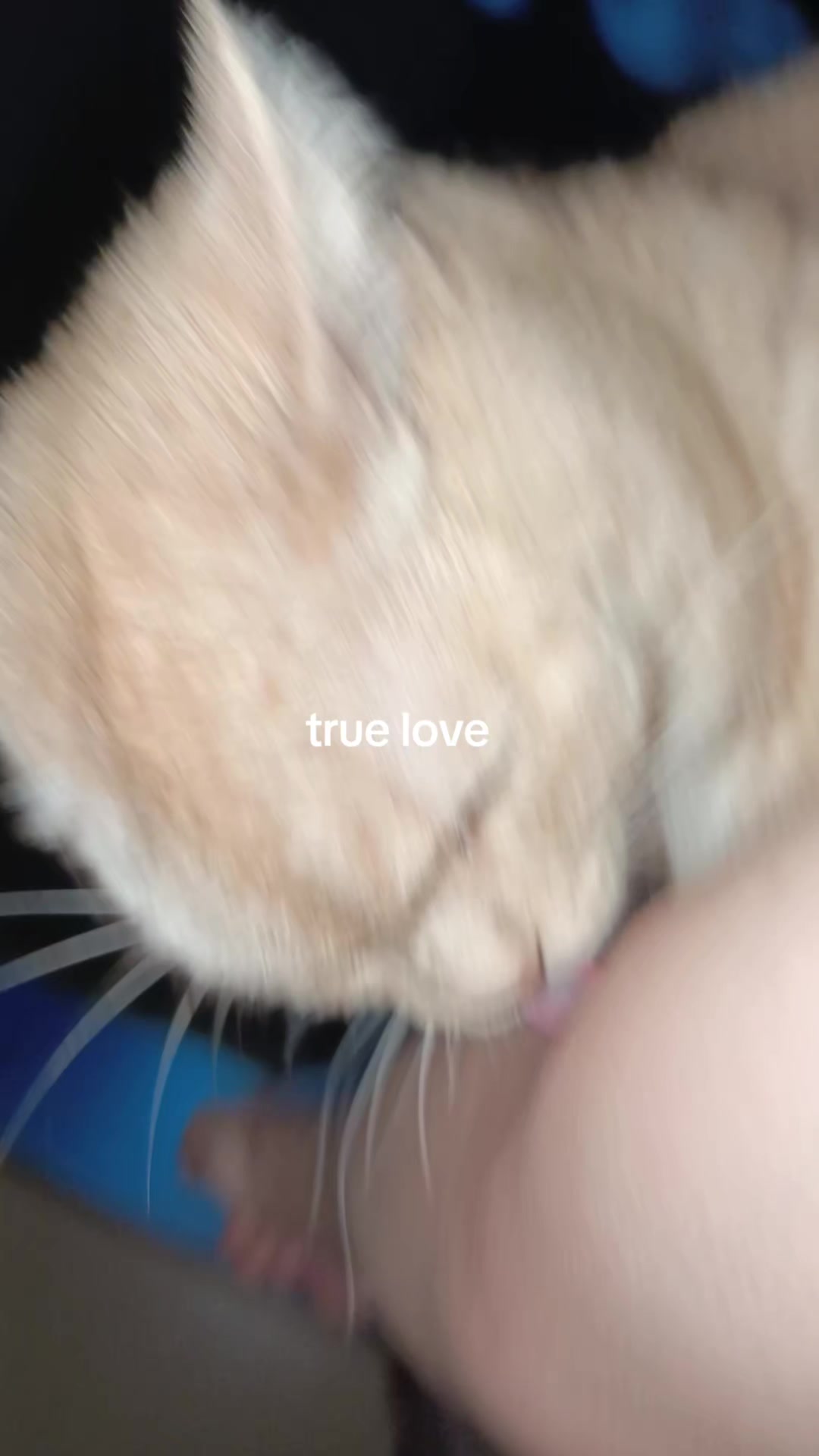 @Twitch:DraivinHue
