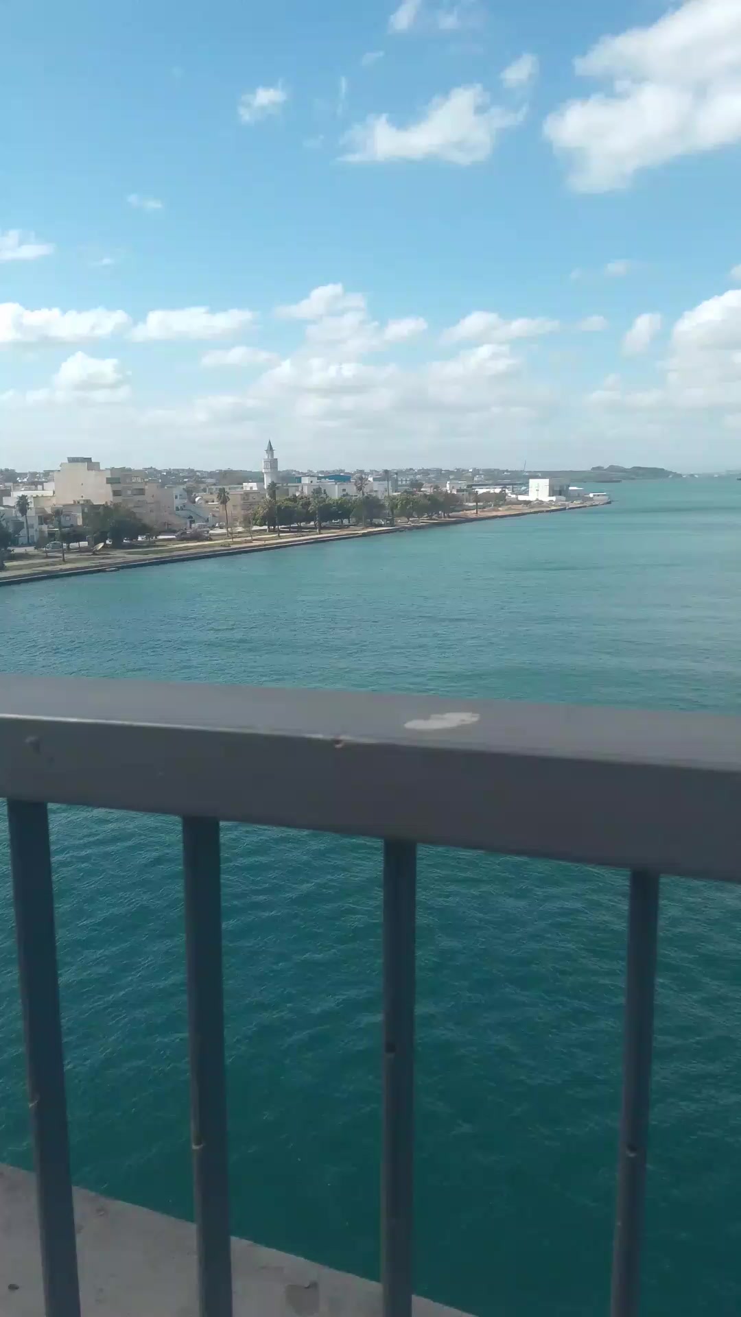 @amal riahi .amoula 1239