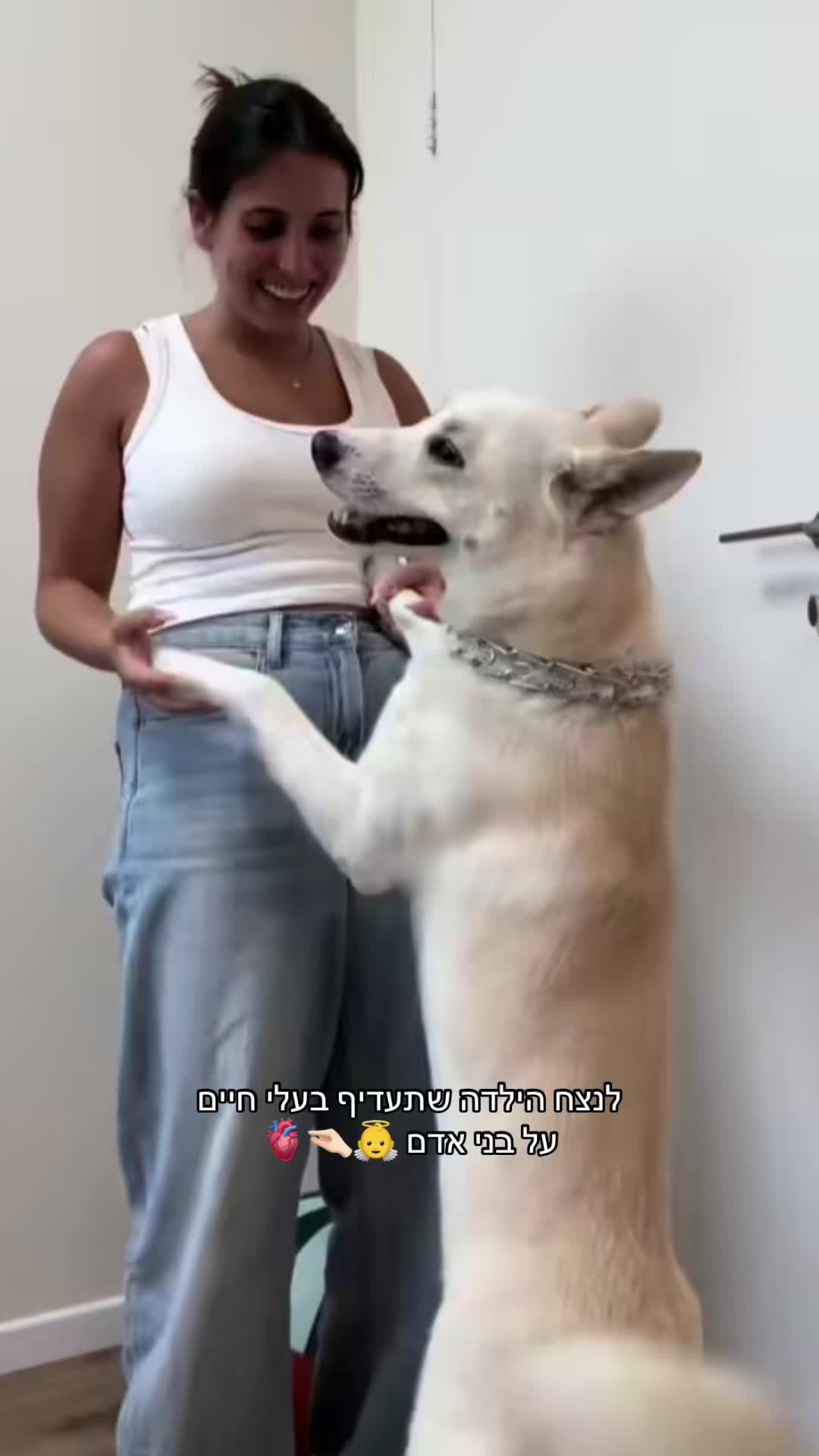 @נועם דנינו