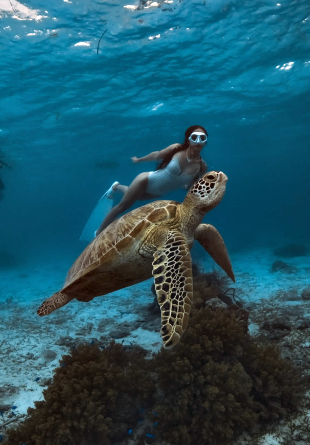 @divewith_eyJ