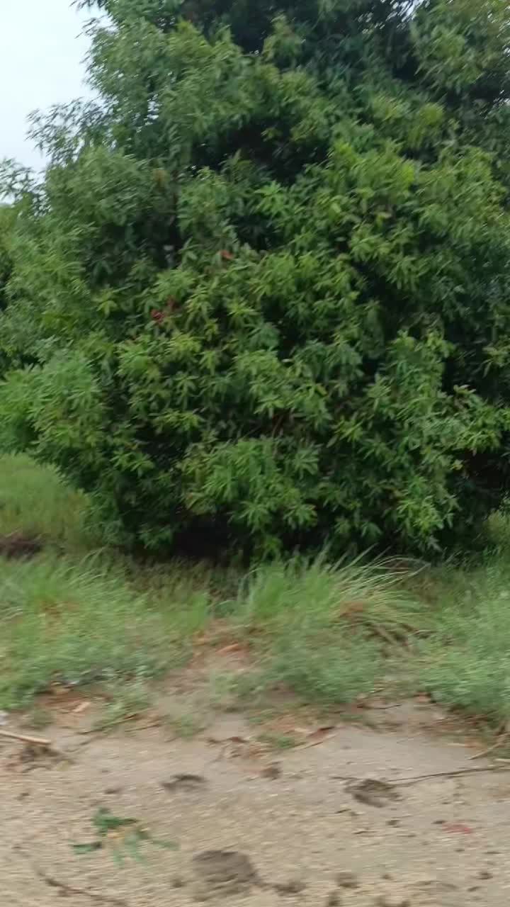 @Mukesh kumar kolhi
