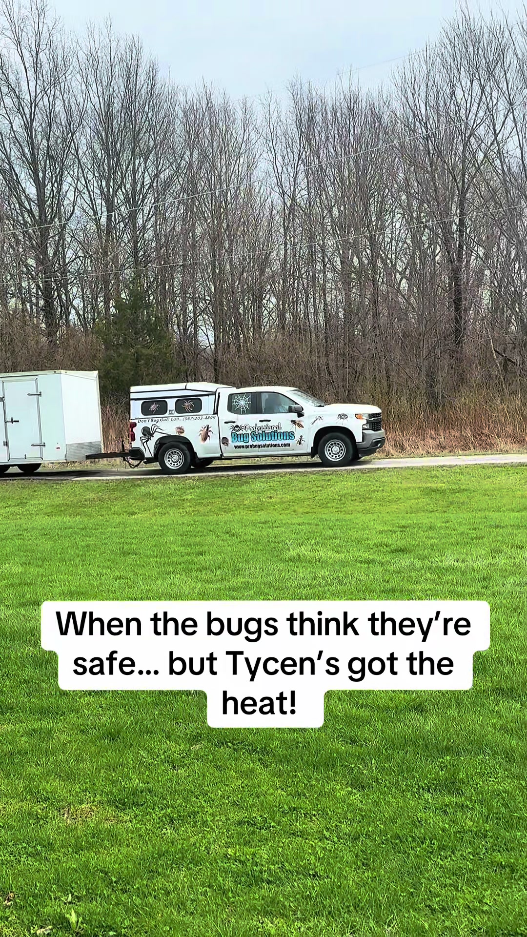 @ProBugSolutions