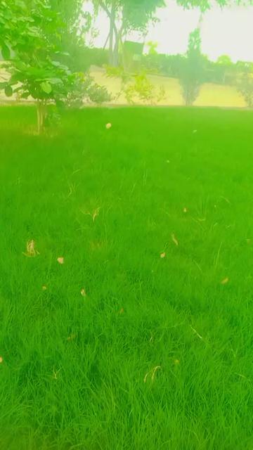 @🇵🇰Ramzan sardar🤘💖🤘💖