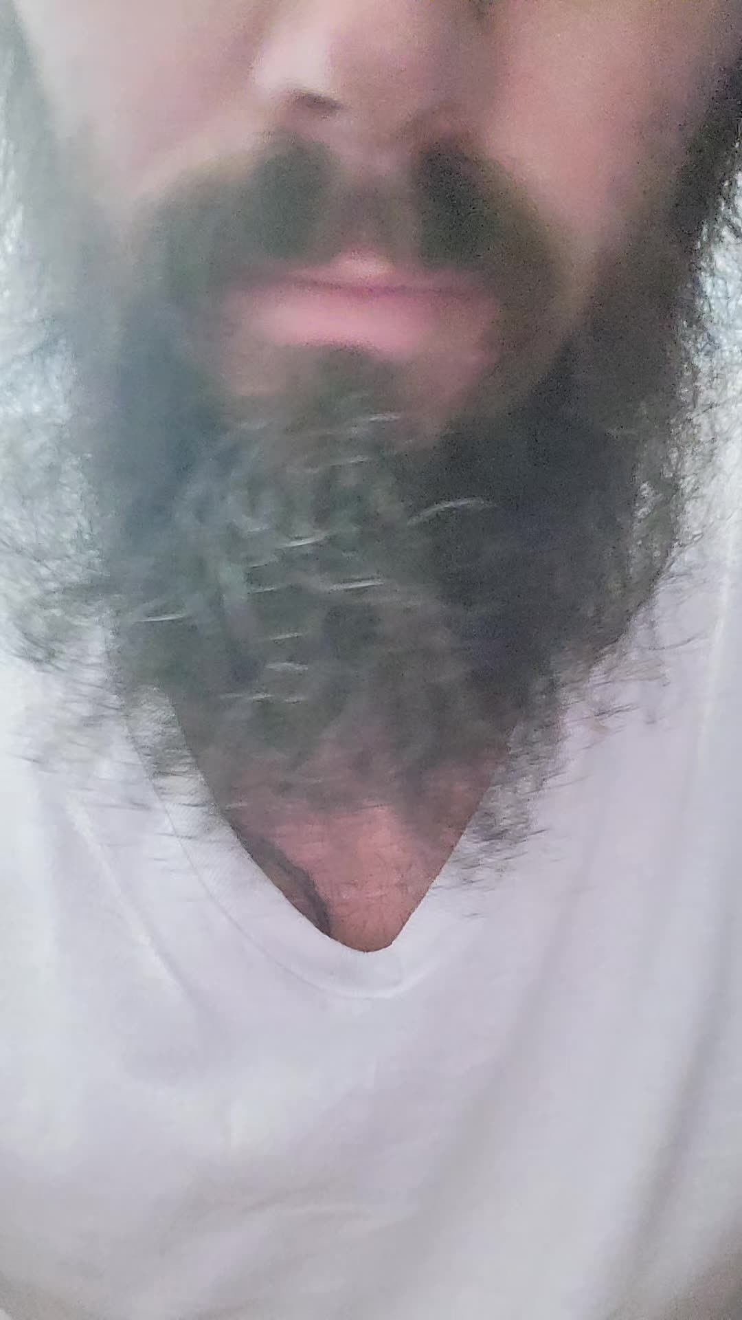 @ARCYEL