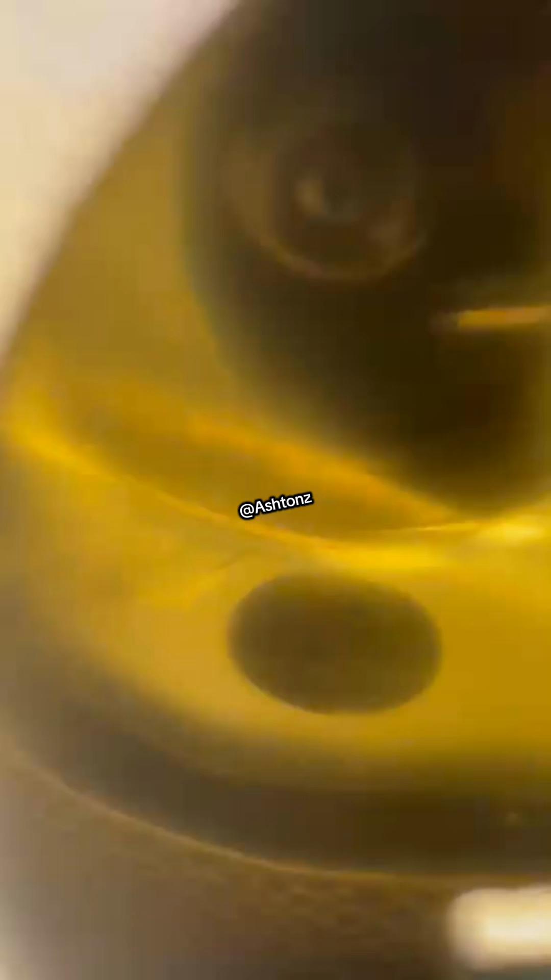 @ashtonzgold
