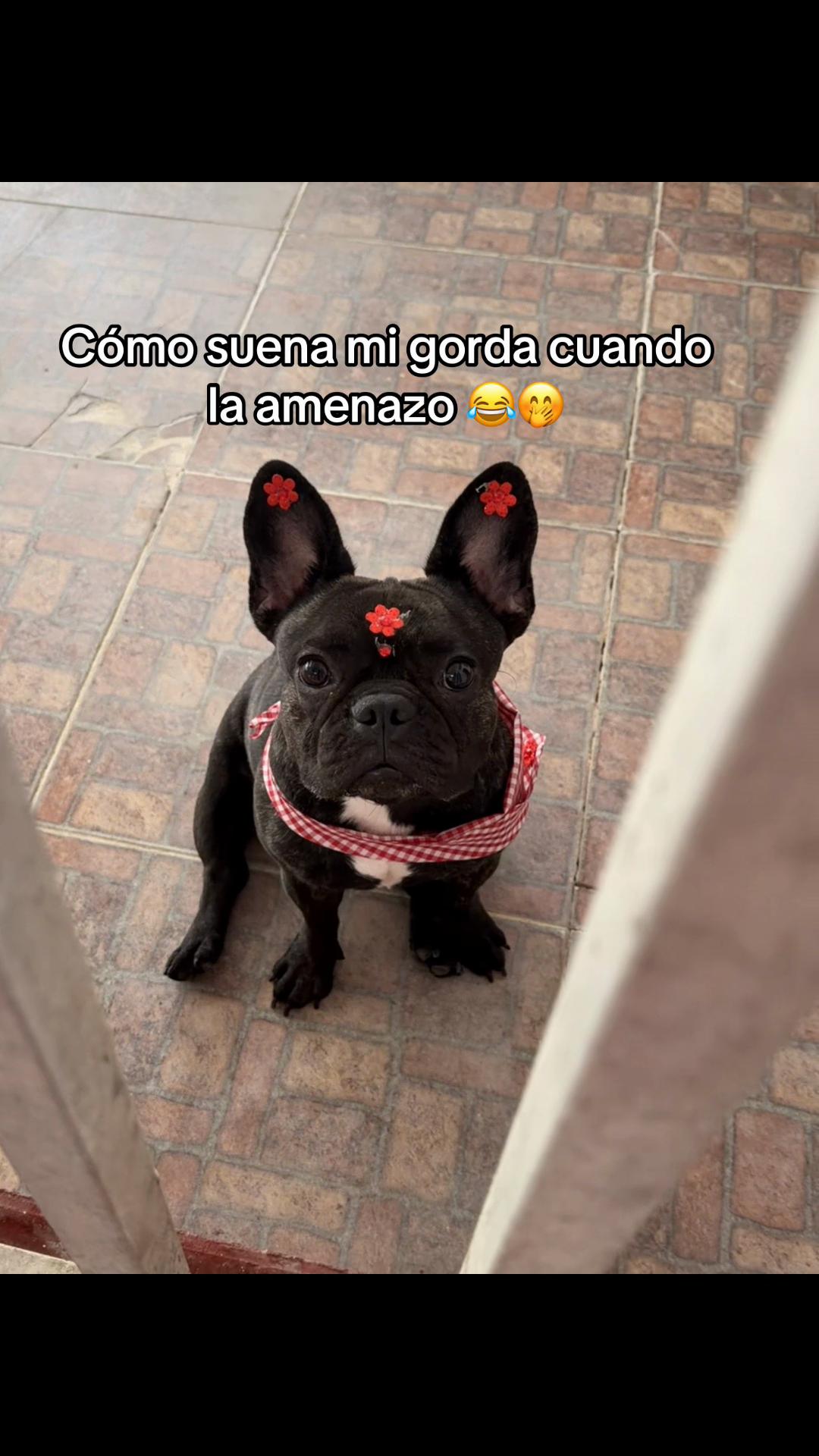 @Lorena Calderón 🎀