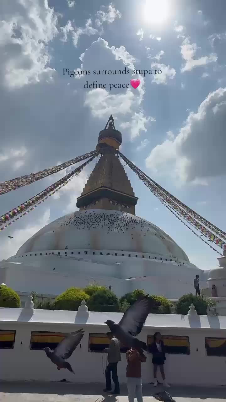 @S_W_A_R_O_O_P