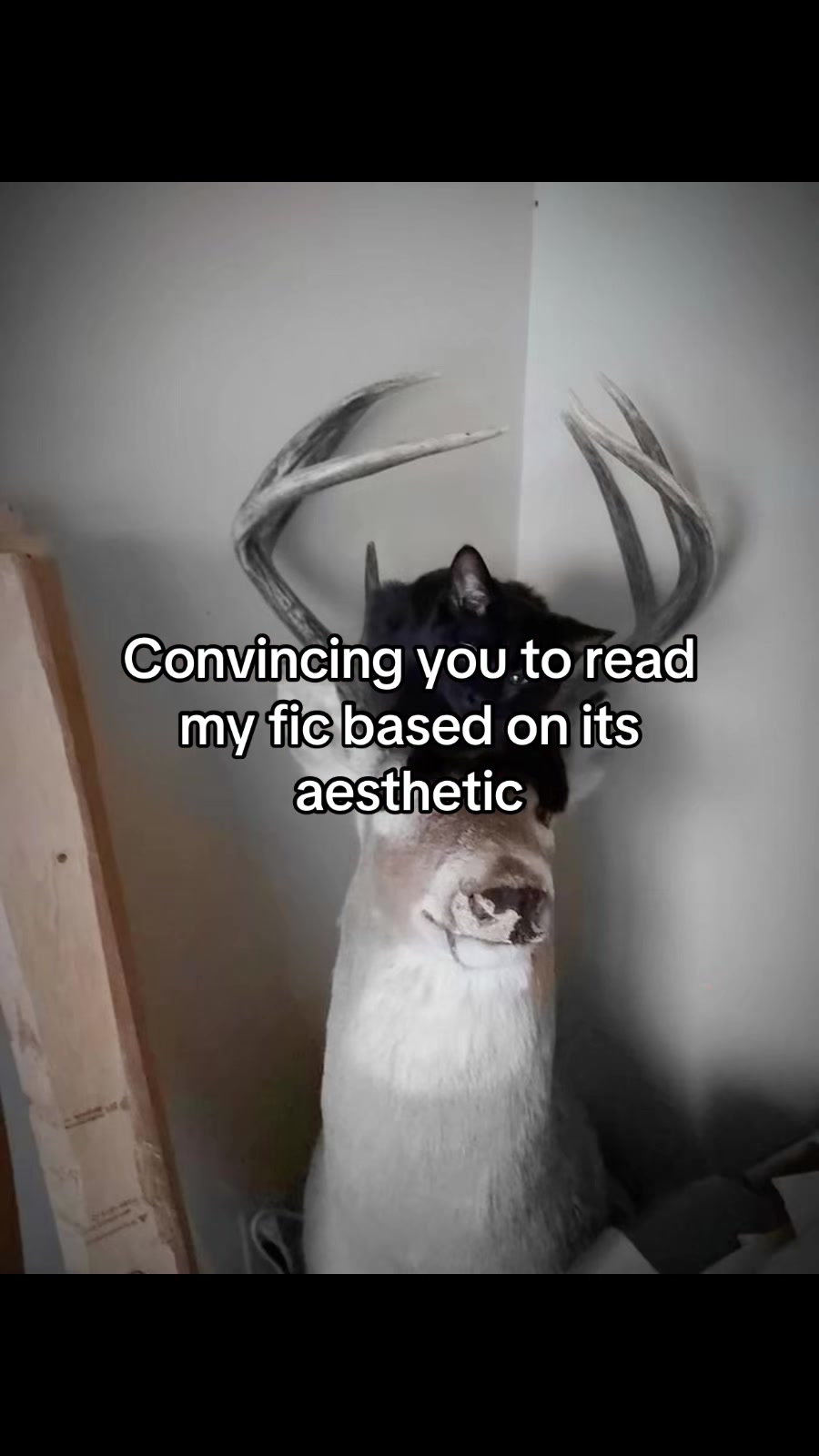 @Twlightveilstar