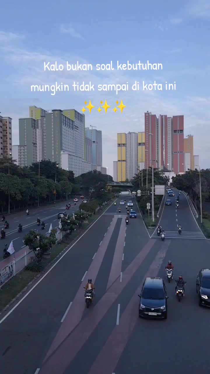 @jnong🐇