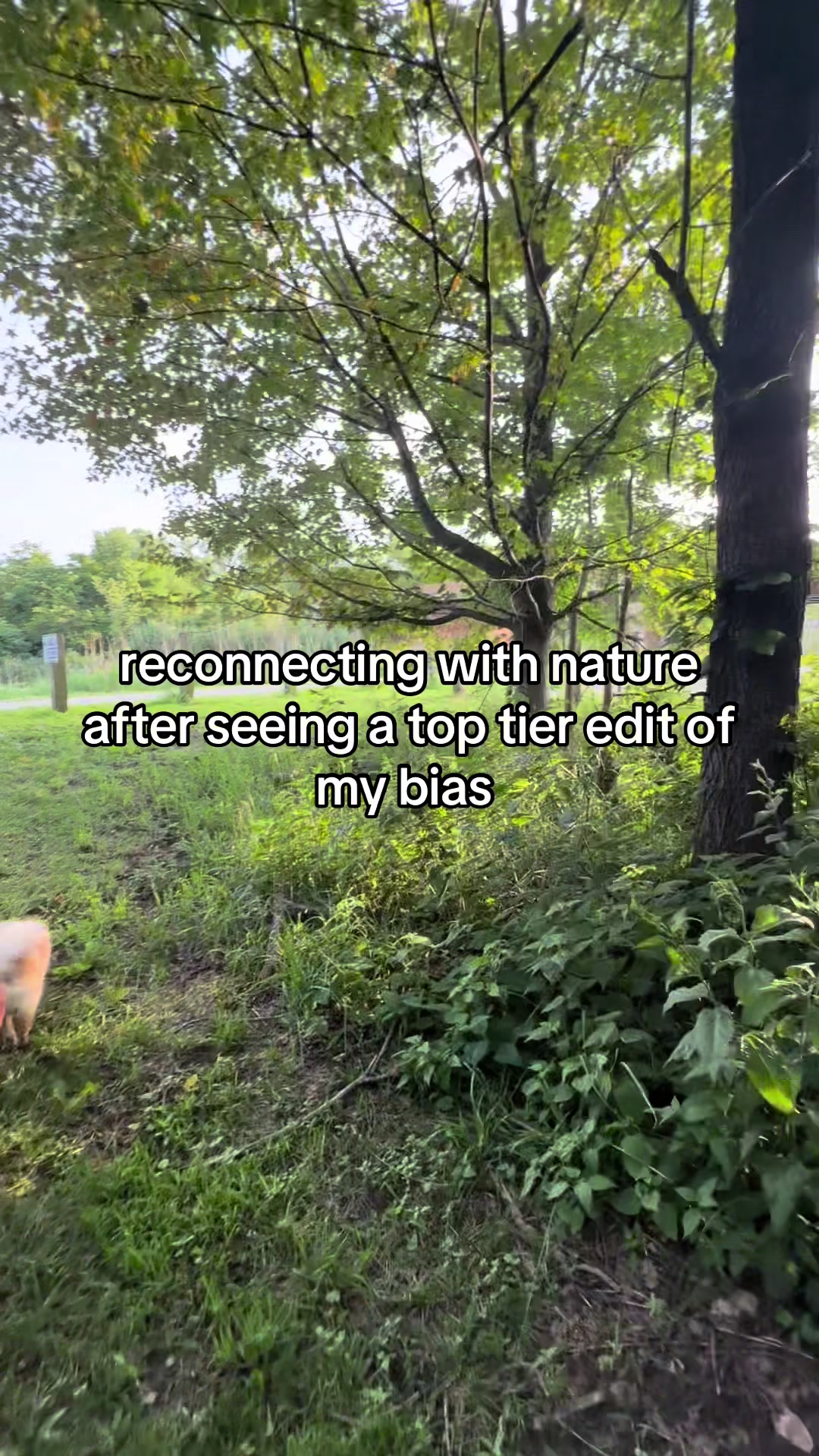 @des <3
