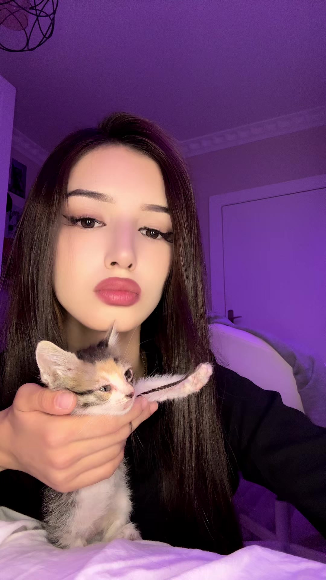 @๐ฏ๐๐๐ท๐ ๐๐๐๐ถ๐๐