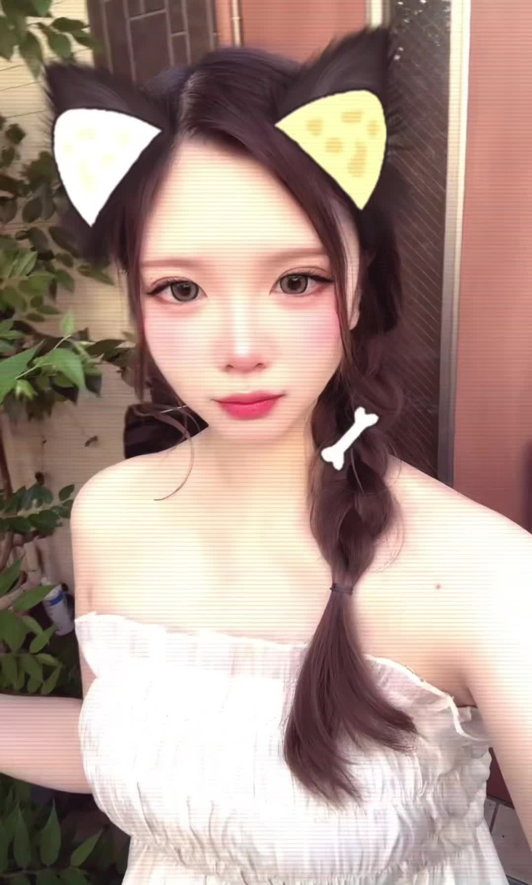 @夏帆