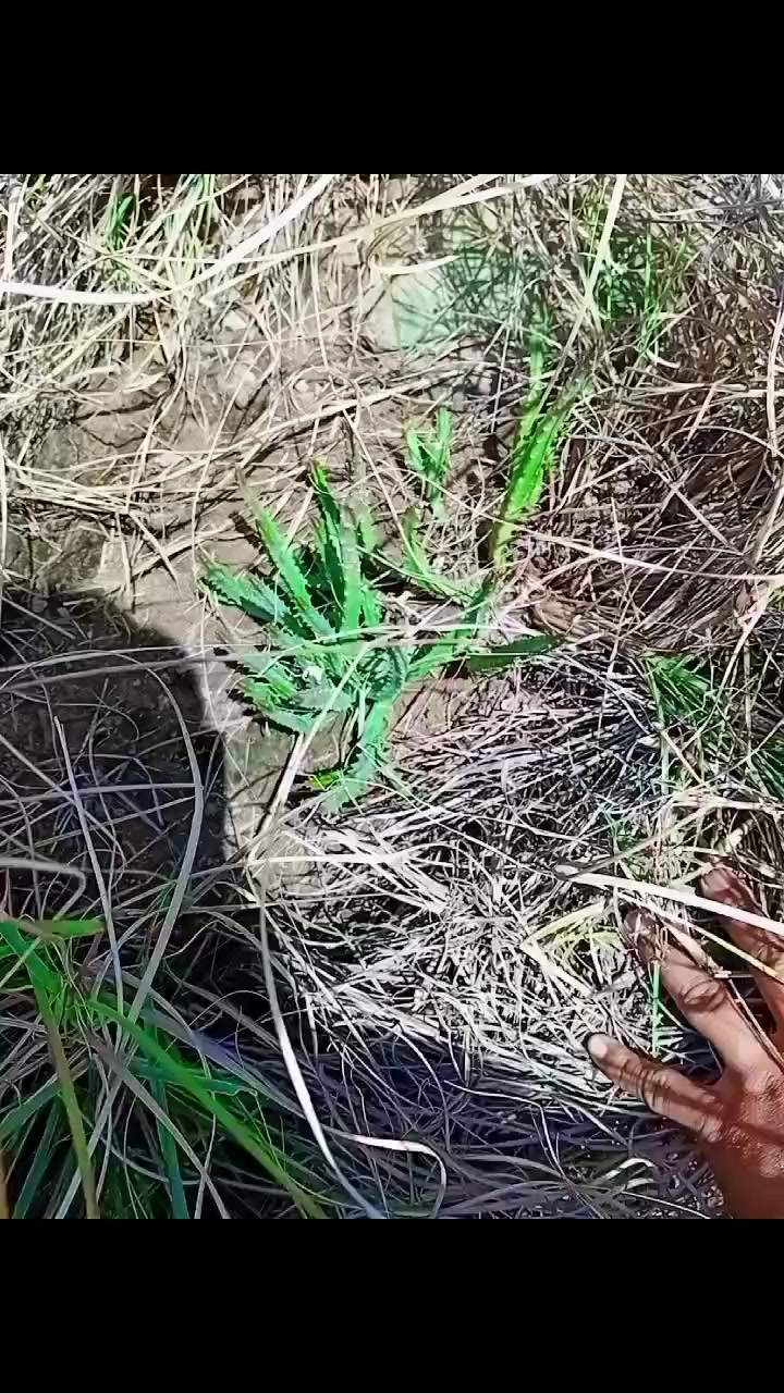 @asd123456