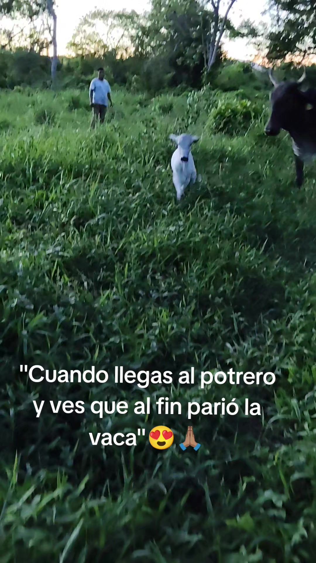 @Eli.Lopez.Leon