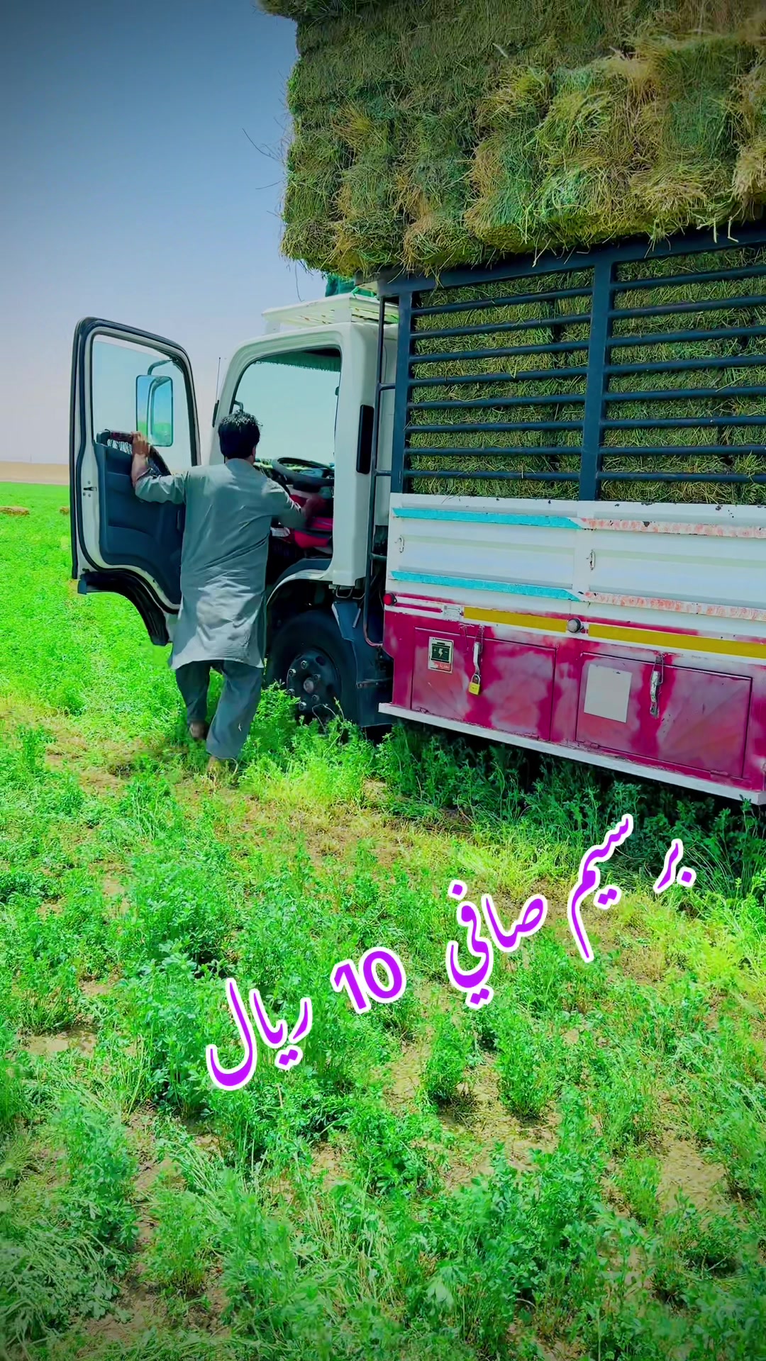 @Afsar ali🦅🌹🇵🇰