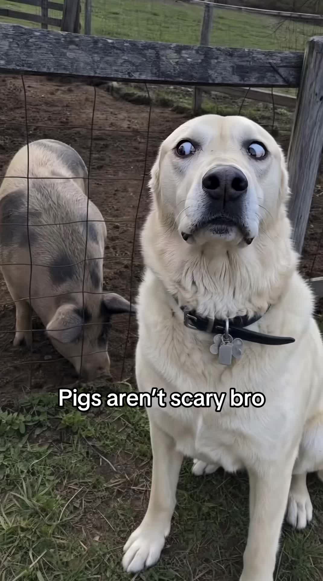 @Tim