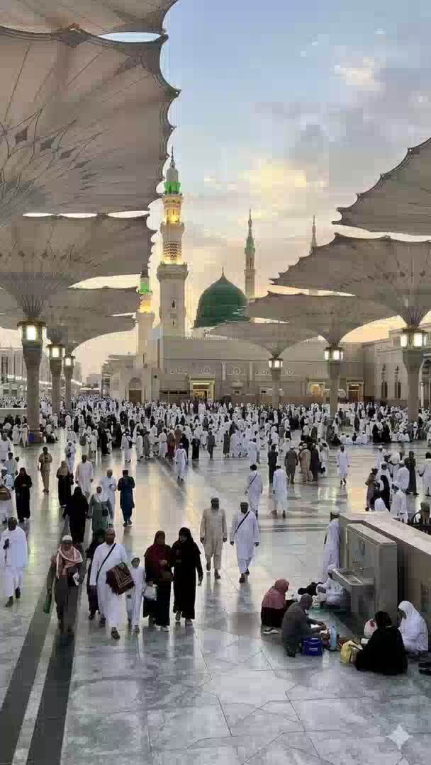 @zafar jutt g 🇵🇰🇸🇦