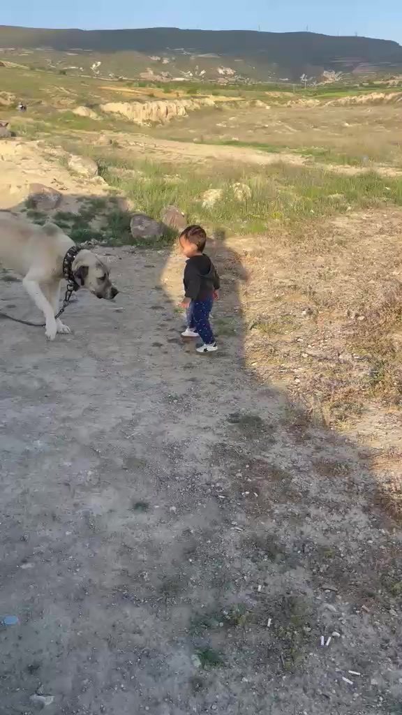 @kayaahmet50
