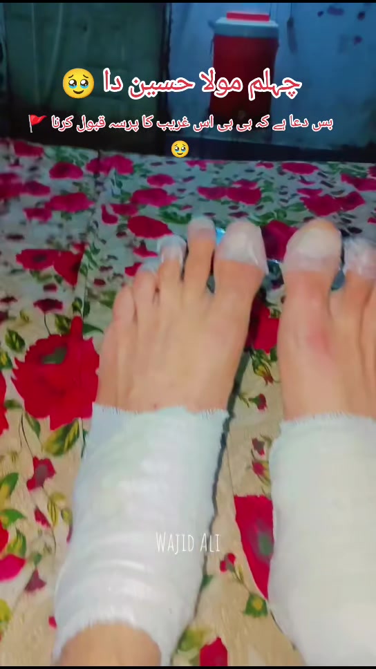 @WajidAli8080