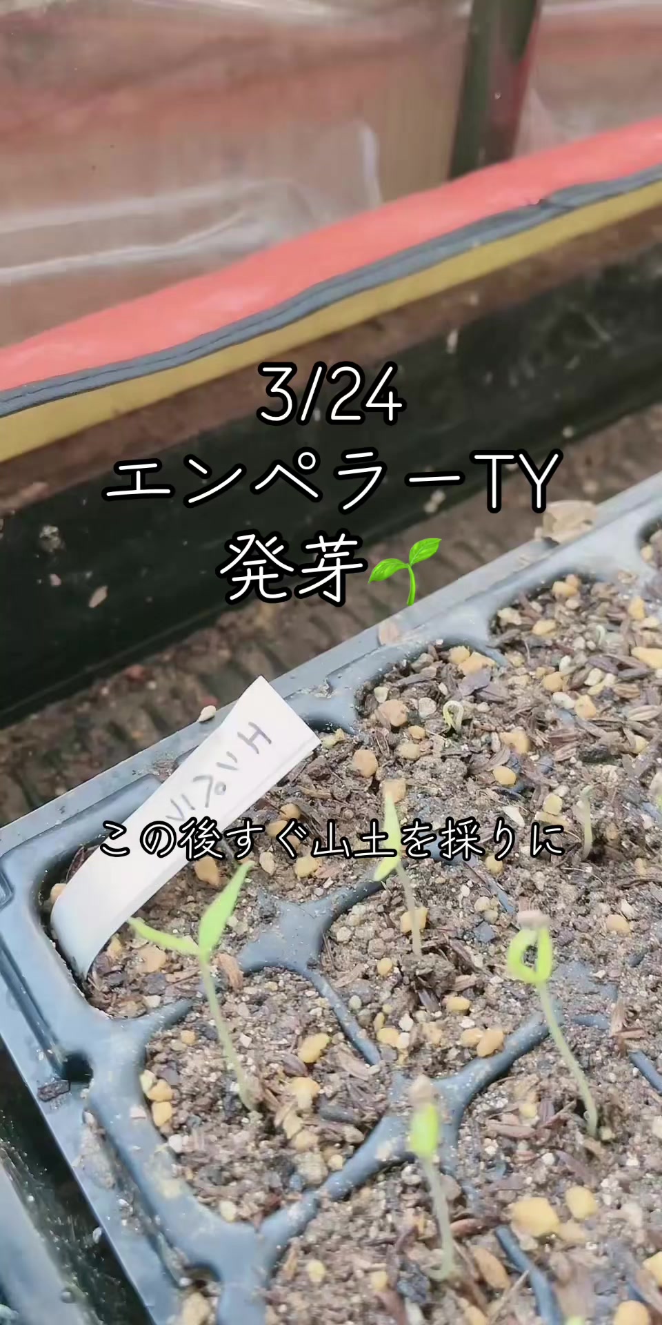 @美味しいトマトの研究所🍅🦌