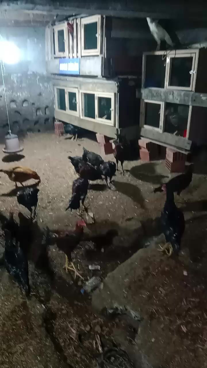 @ORDULU M&Uuml;SL&Uuml;M