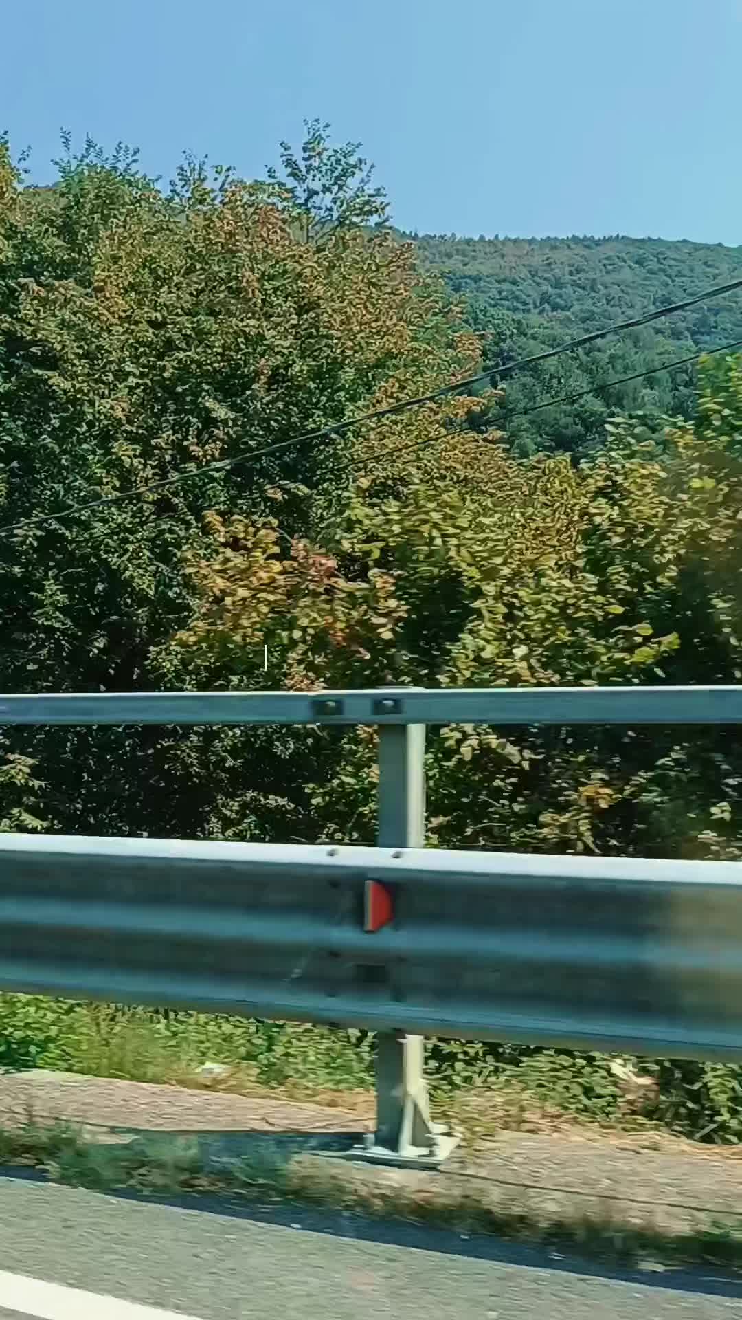 @Lele