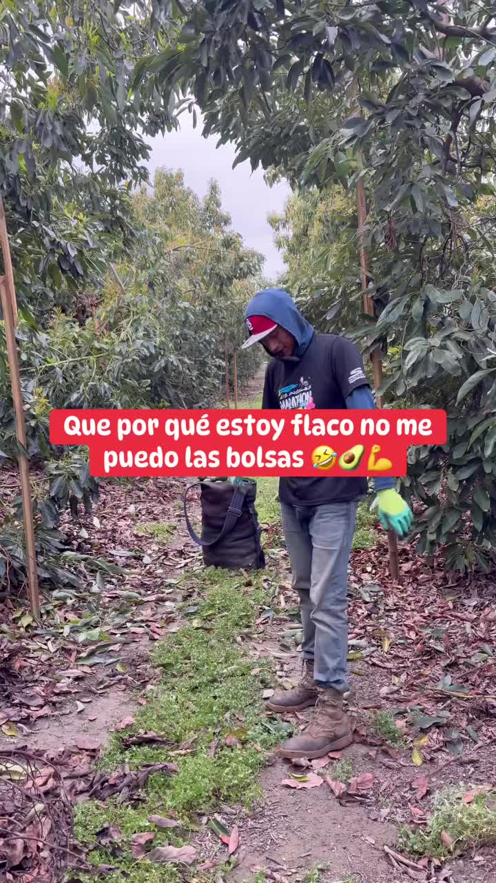 @Elo Santana 🥑🍊🍋