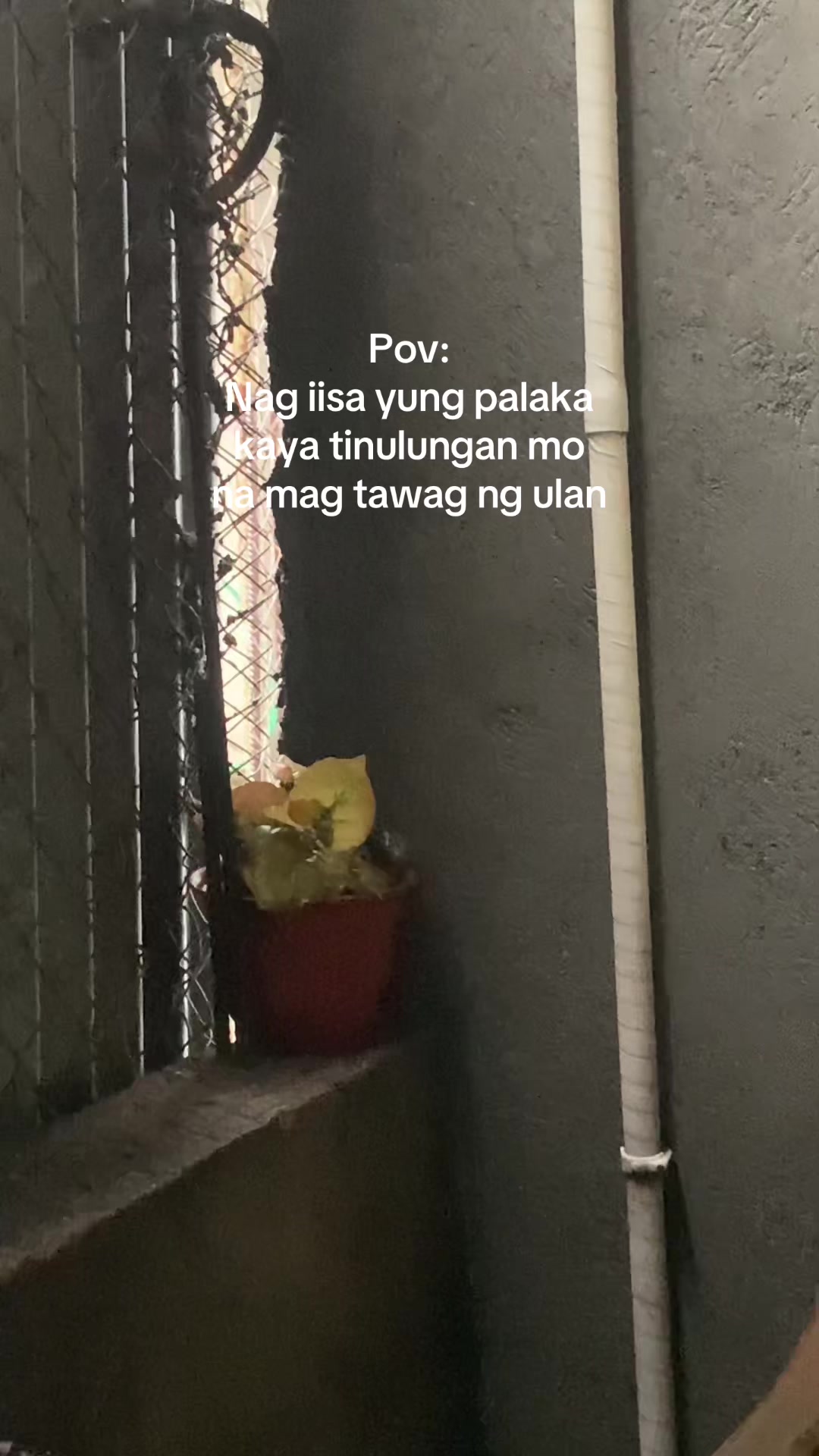 @Jiro