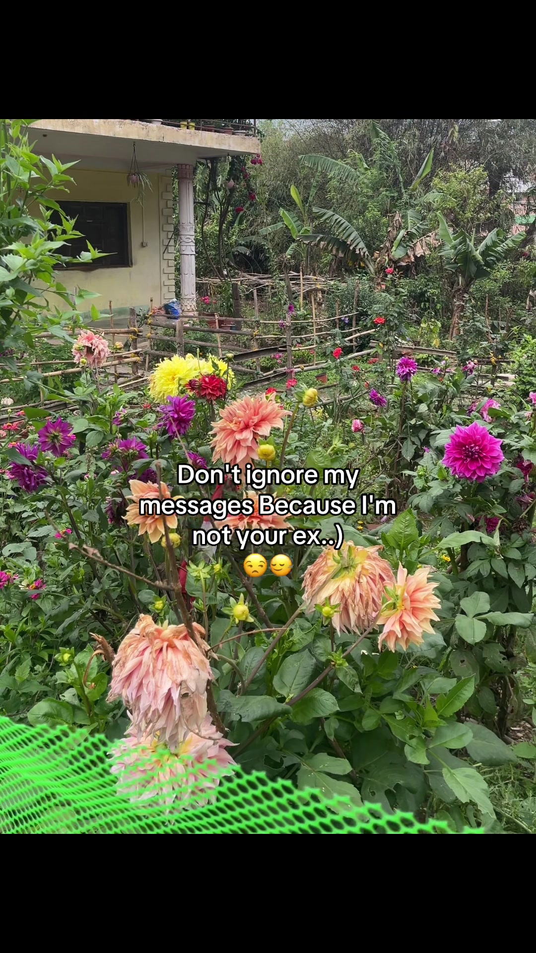 @Rohiteyyy