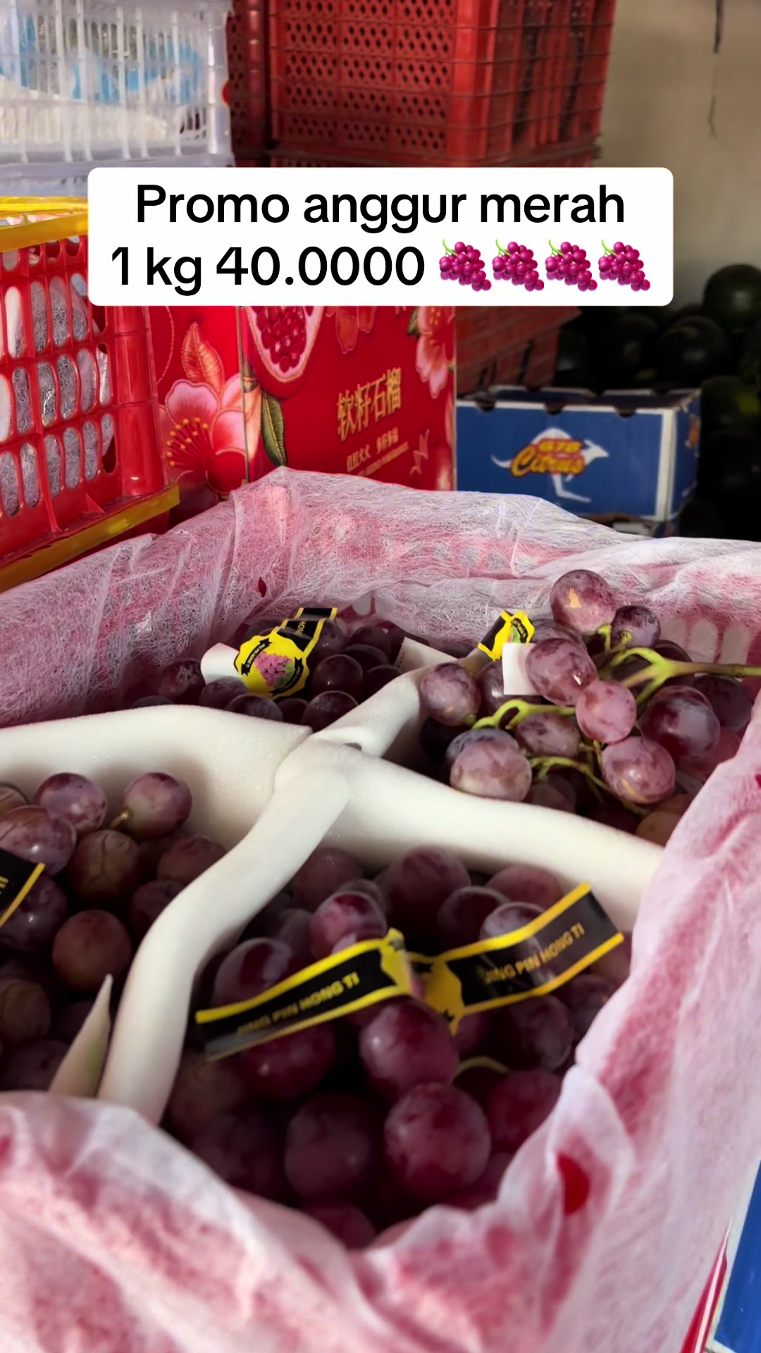 @Yy fruits