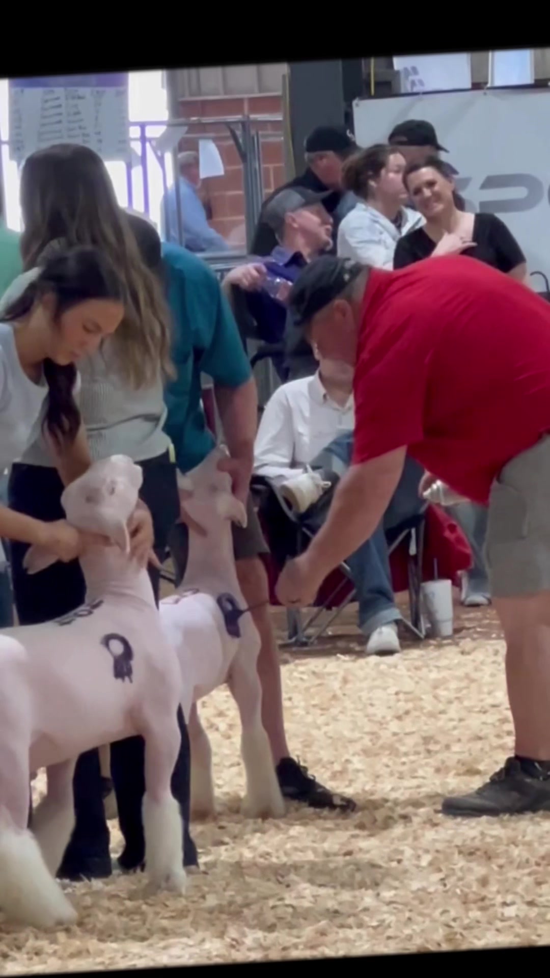 @ET Livestock