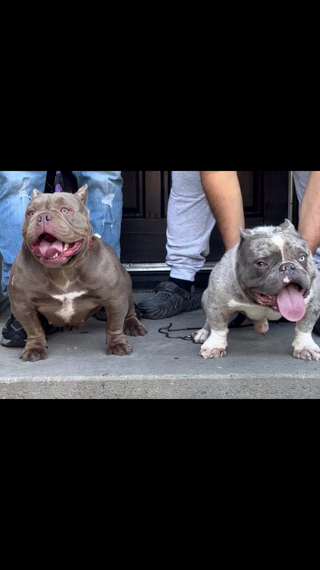 @SGBULLYZ