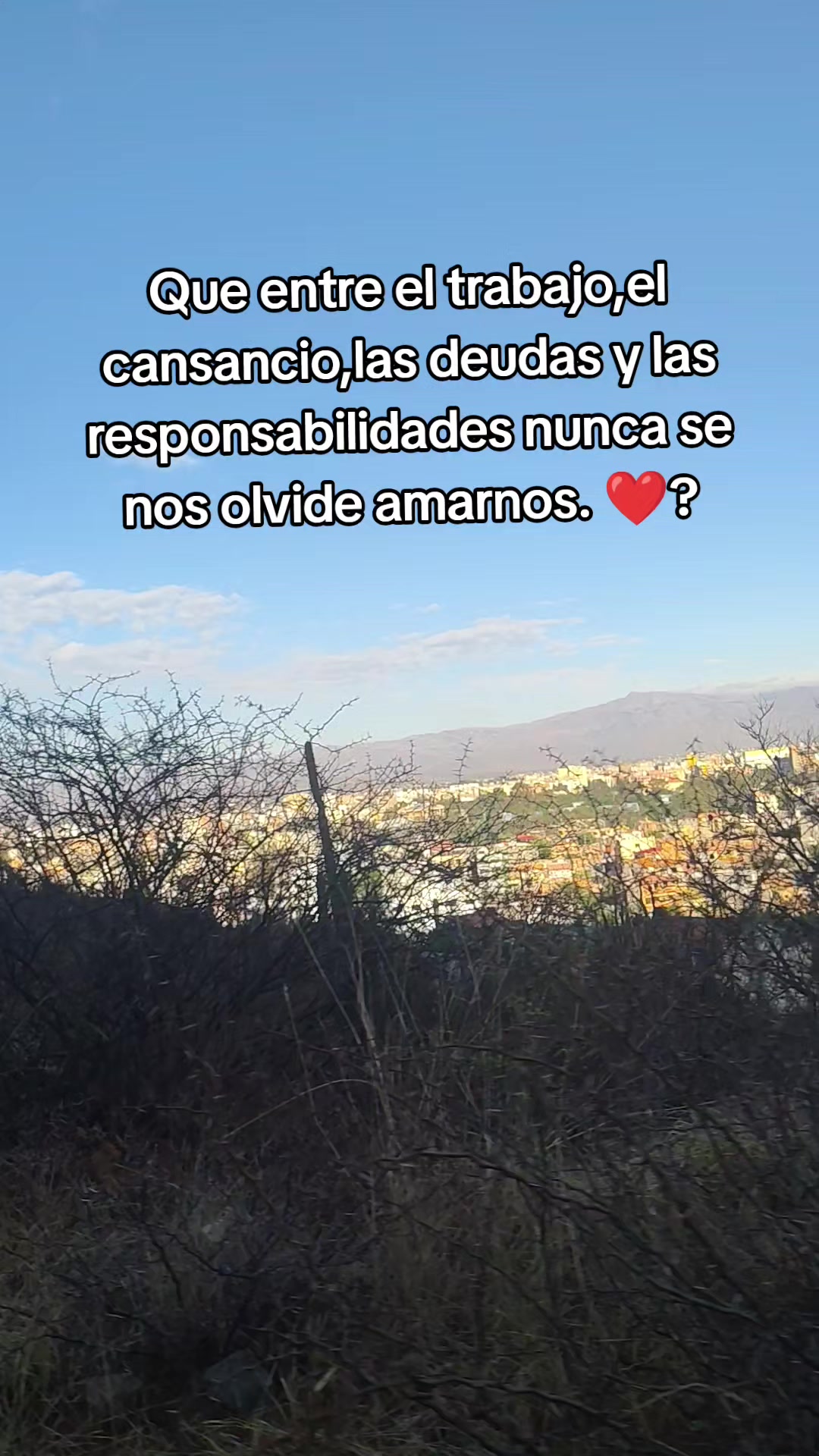 @Gabriela Torrico Tor