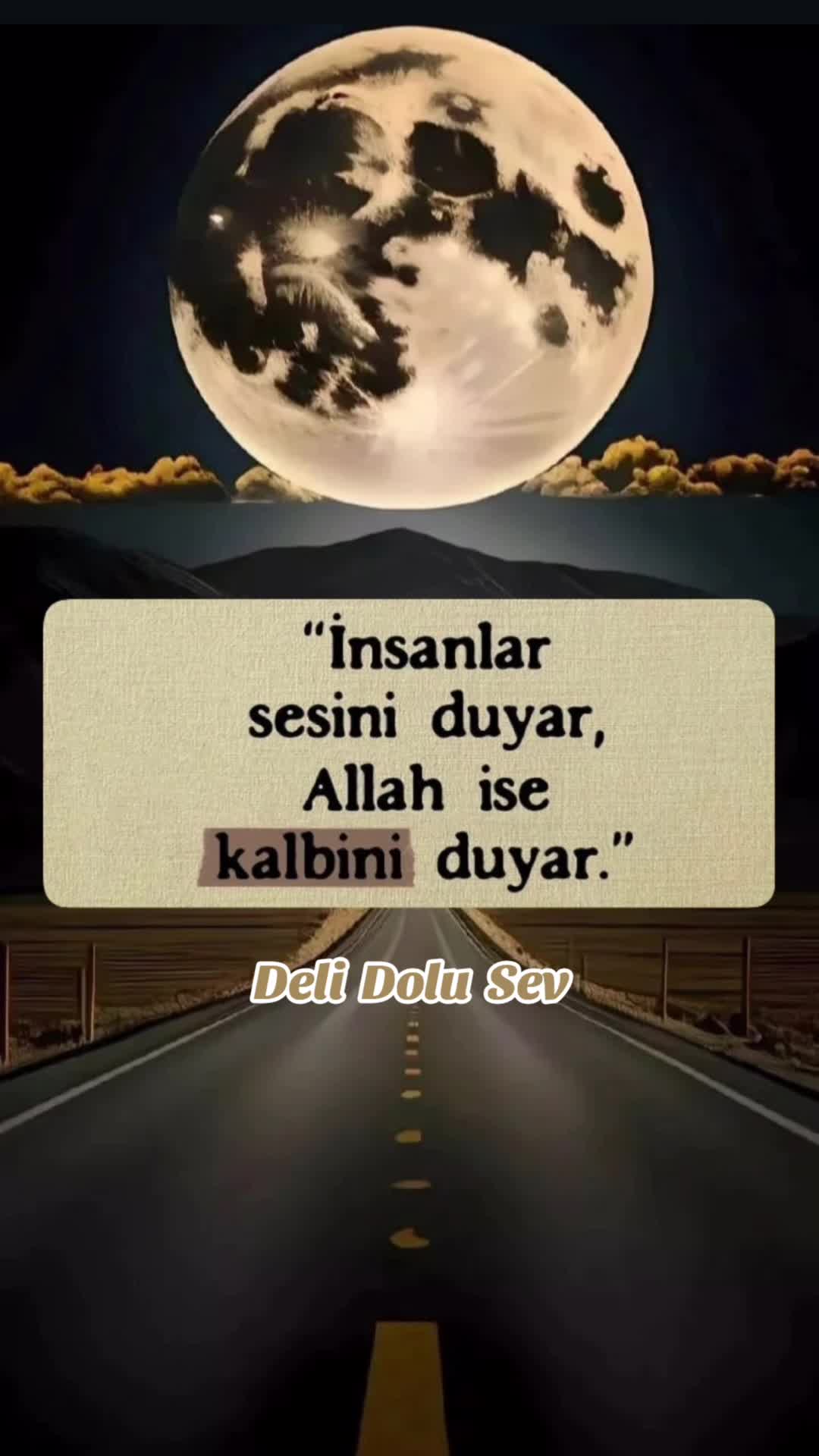 @~ Deli Dolu Sev ~