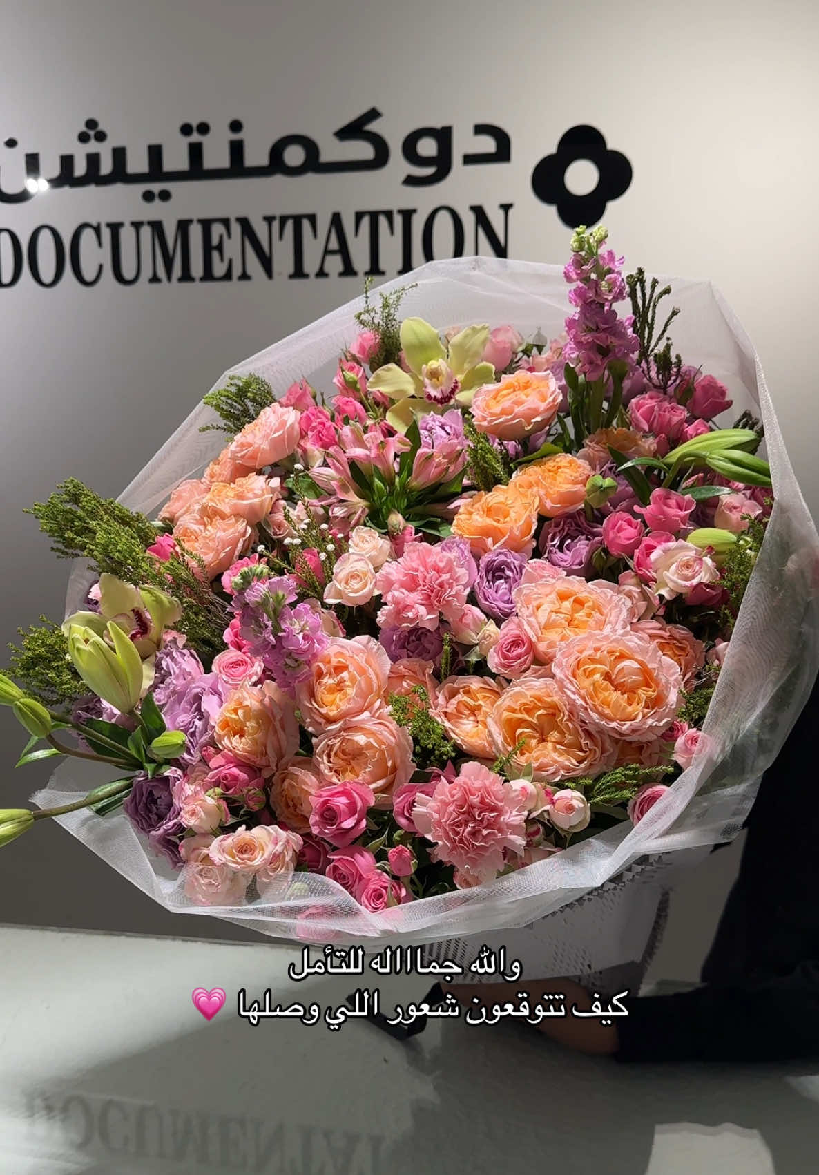 @دوكمنتيشن فلورز