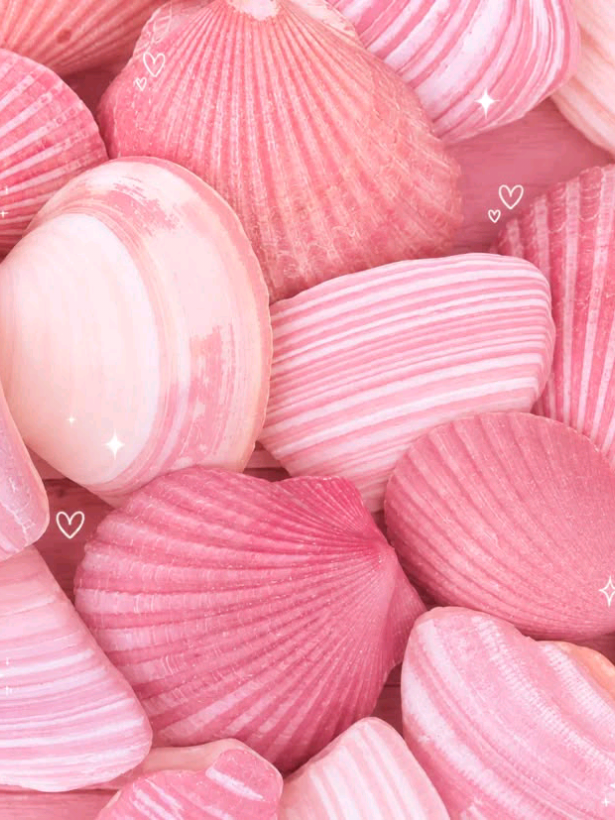 @𝐙𝒆𝒏𝒂`👒 ࣪ ִֶָ ┆ ⩩ 𝟑𝟎𝐊'✮