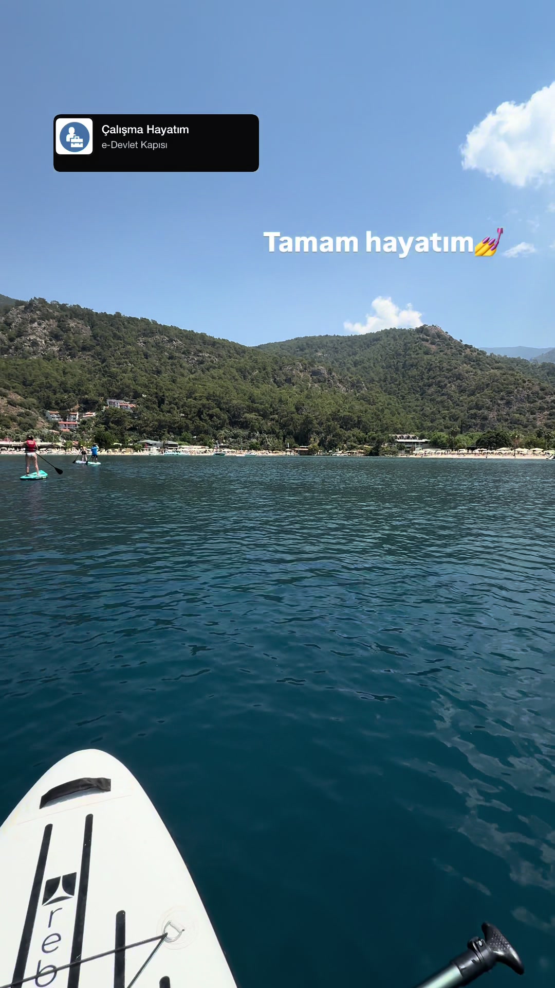 @Sudenaz Nurcan