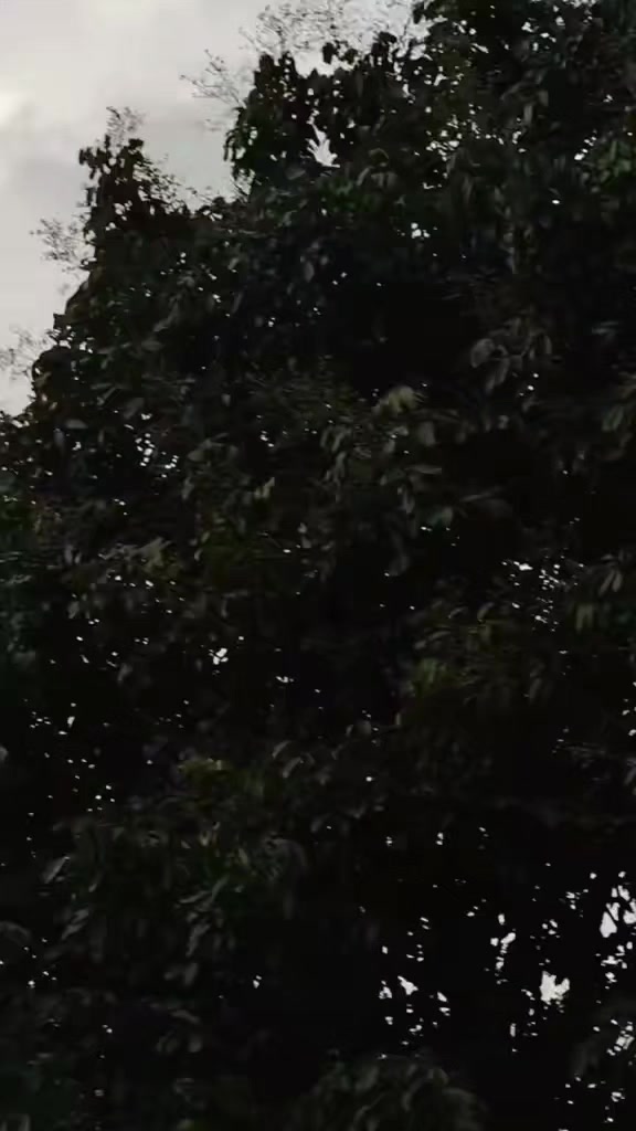 @đ´đkhun.Sai.đźđ´.đźáá˝ááşá
ááŻááşá¸