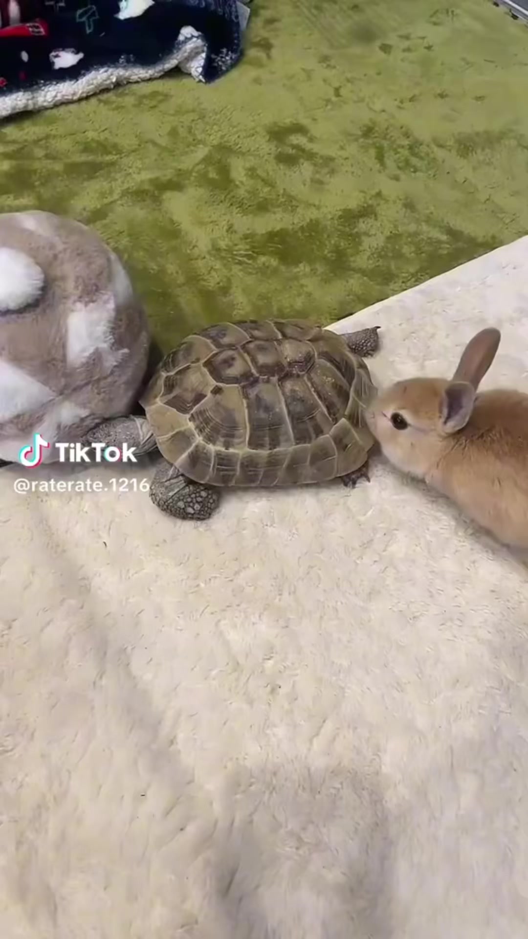 @とも