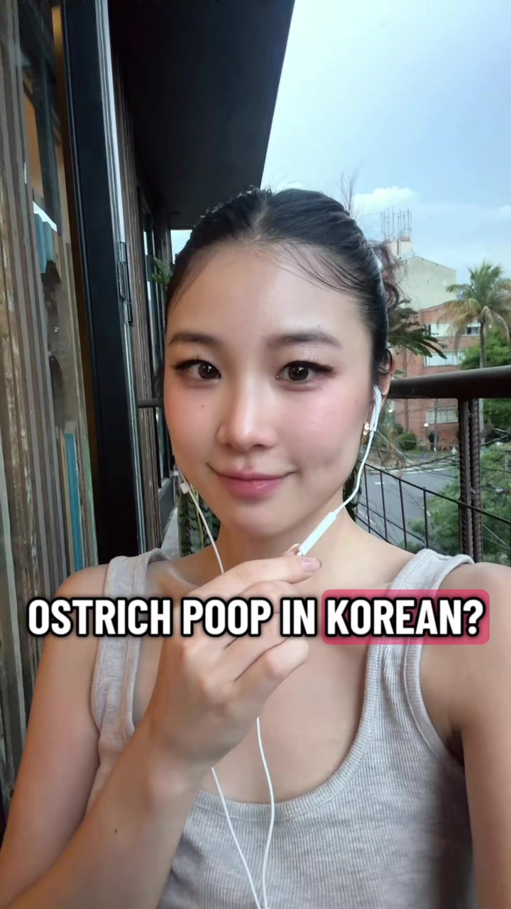 @korehanna