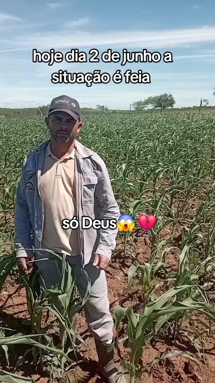 @jocriador