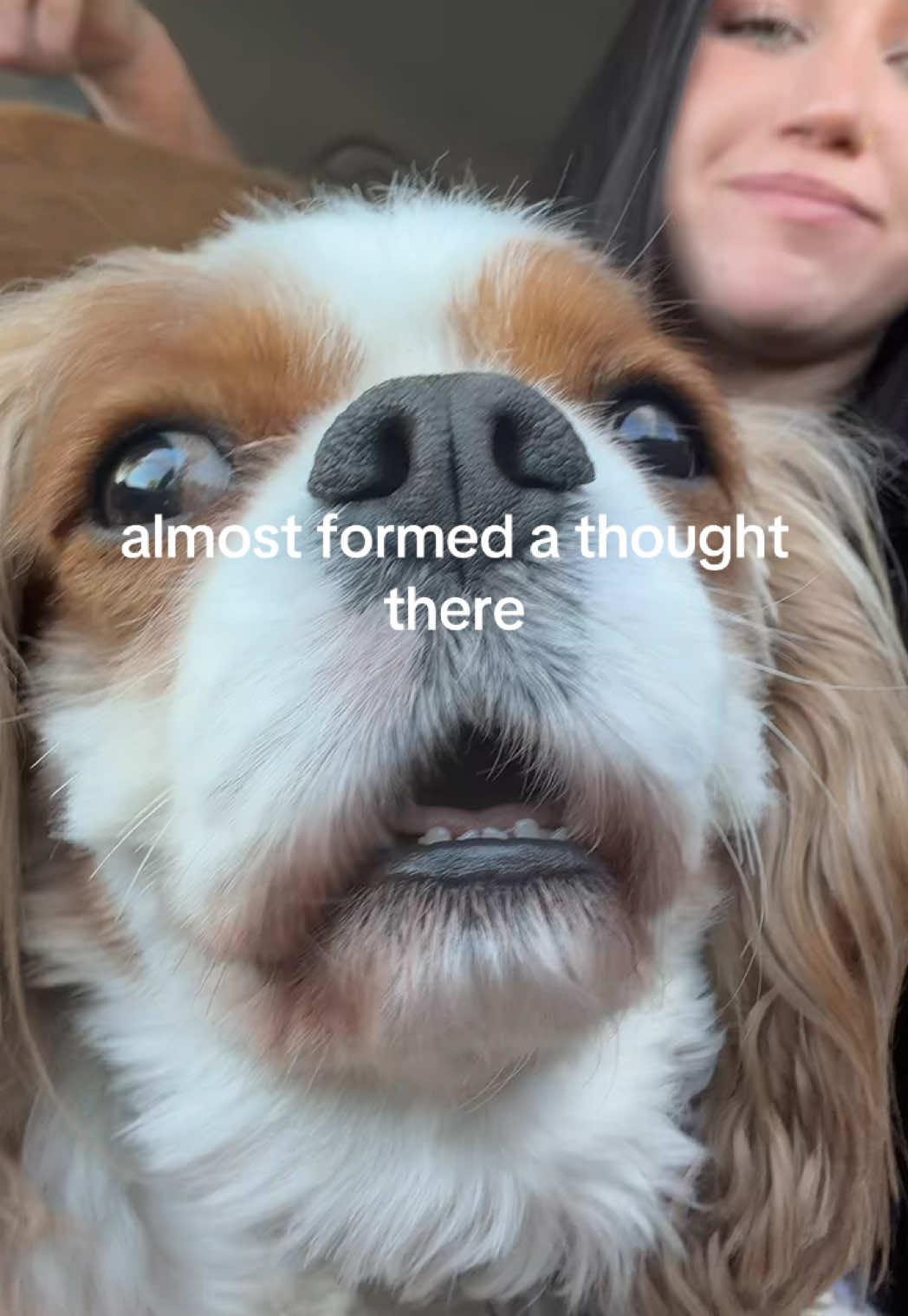 @mimi