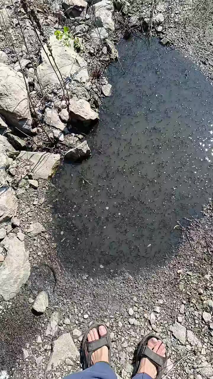 @Артём Кисте́нь 🔨