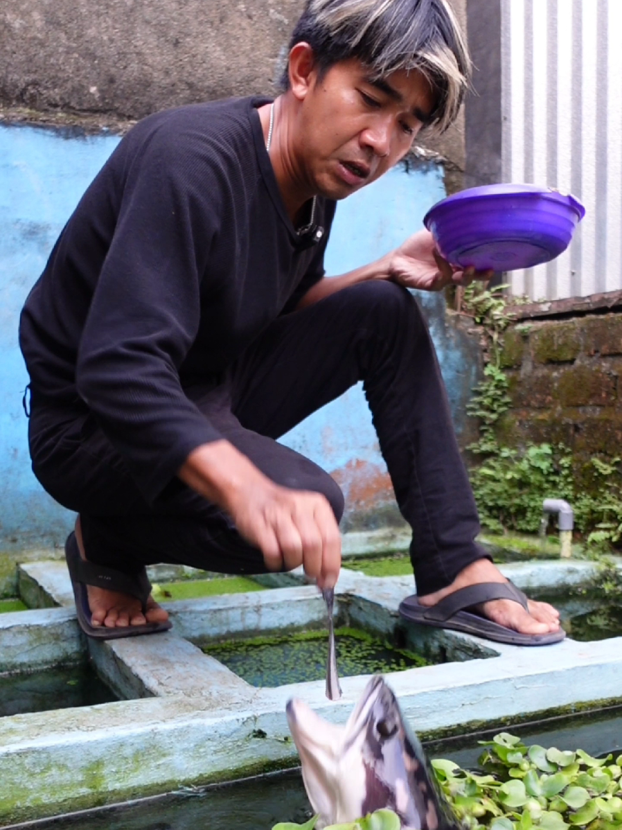 @imam noer