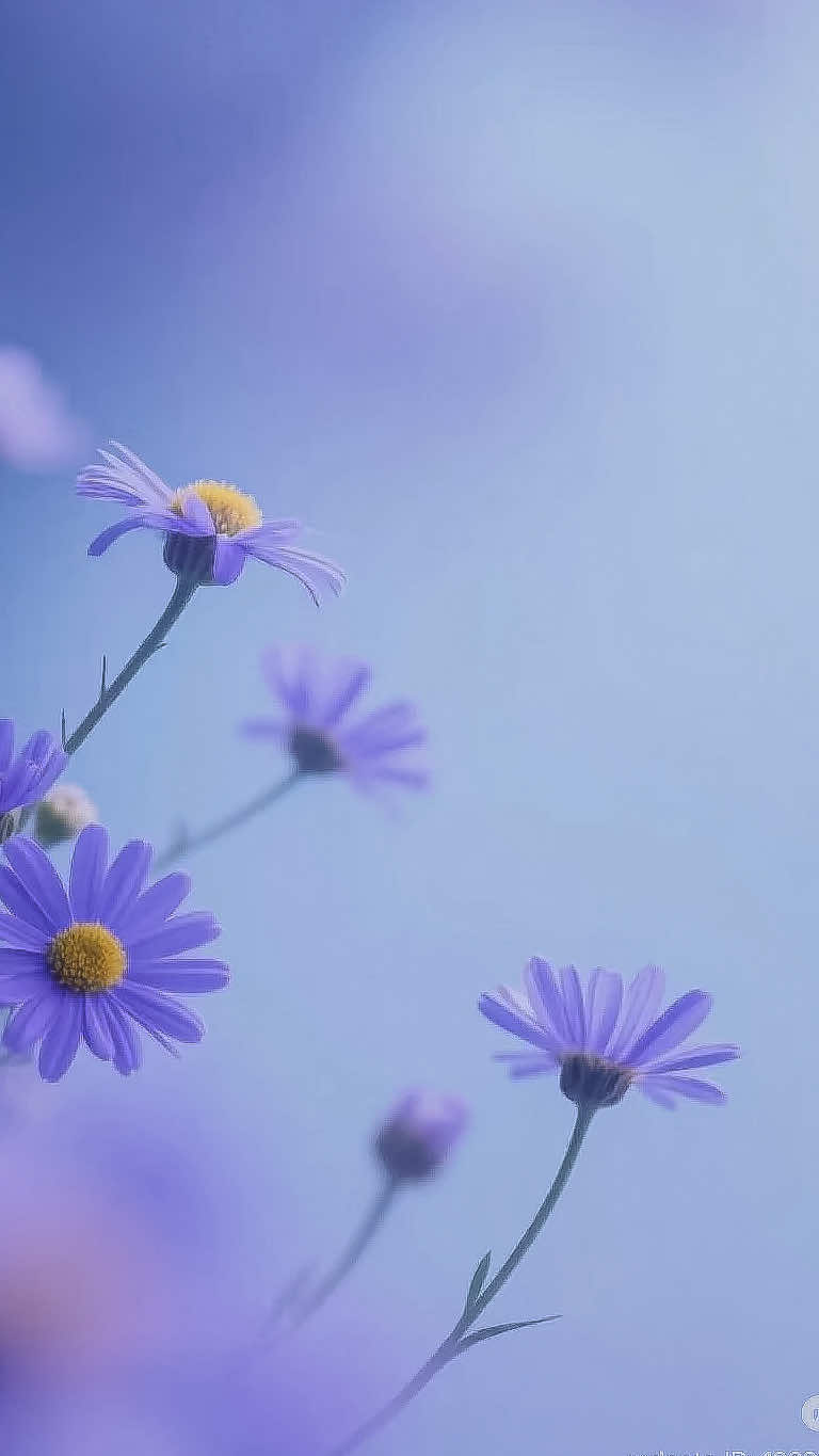 @𝑻𝒂̂𝒏 𝑻𝒉𝒊