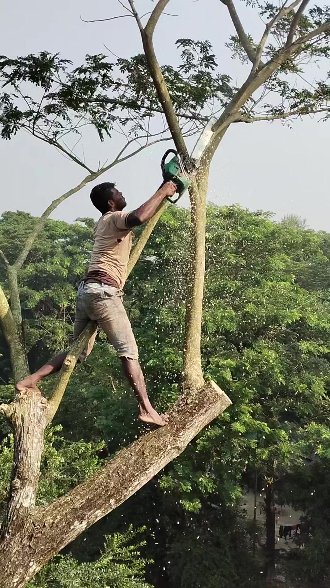 @যশোরের পোলা