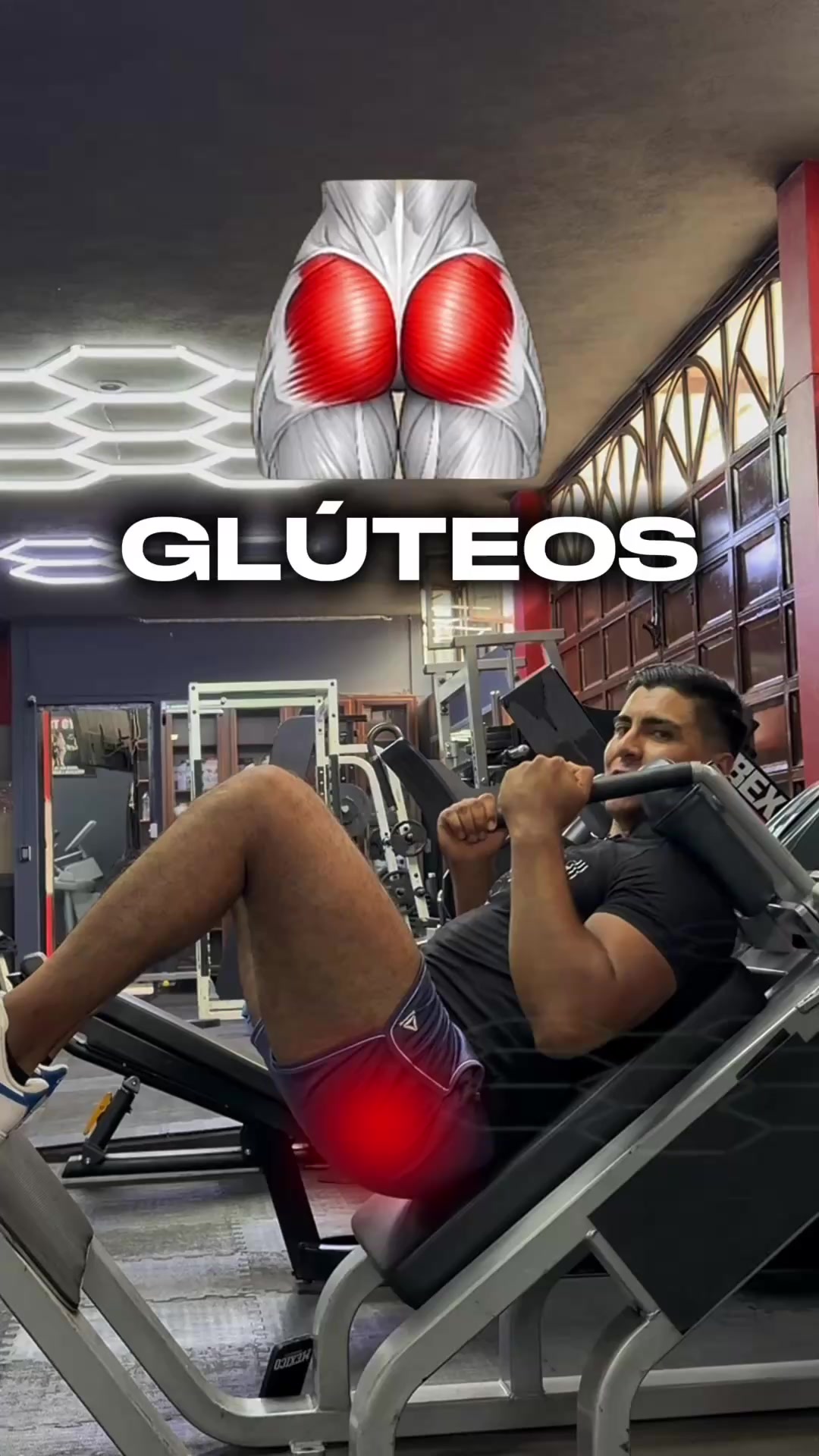 @PERSONAL&ensp;TRAINER